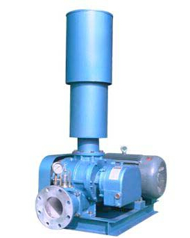 羅茨鼓風(fēng)機